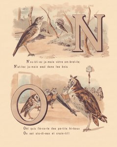 NÃO: Nightingale, nupcial, coruja, ortografia de French School