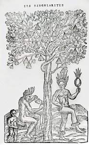 Nana fugindo, planta medicinal, ilustração de Singularities of France Antarctica, por Andre de Thevet, 1558 de French School