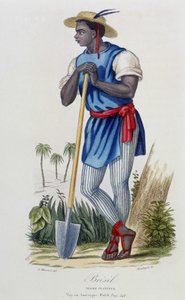 Nègre planteur du Brasil - na "Bibliotheque Universelle des Voyages" de Albert-Montémont, ed. Armand-Aubrée, Paris de French School