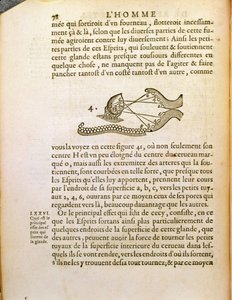 Diagrama óptico, de De Homine Figuris, de René Descartes (1596-1650), publicado em Haia, 1662 de French School