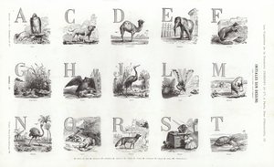 Página de Vignettes Typographiques (gravura) de French School