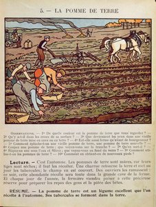 Página de um livro escolar ilustrando o cultivo da batata, c.1910 de French School