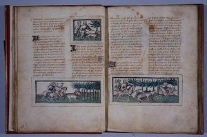Páginas 57 e 58, de Le Livre du Roy Modus e de la Royne Racio, de Henri de Ferrières, c.1420 (caneta e tinta e wc sobre papel) de French School