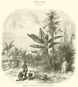 Paisagem em Guadalupe (gravura) de French School