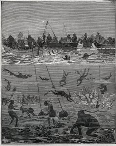 Pescadores de pérolas no Ceilão (actual Sri Lanka) no século XIX. Gravura de 1885 em "Les arts et metiers illustres" de Adolphe BITARD. de French School