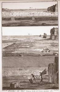 Peche de Mer - Trameau - Waterbird Fishing - "The Great Encyclopedie, ou Dictionnaire Raisonne des Sciences, des Arts et des Metiers" (Enciclopédia ou Dicionário das Ciências, Artes e Profissões) por Denis Diderot (1713-1784) e Jean d