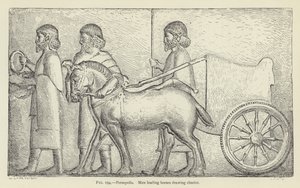 Persépolis, homens levando cavalos desenhando carruagem de French School