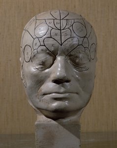 Cabeça frenológica de Jean Martin Charcot (cerâmica) de French School