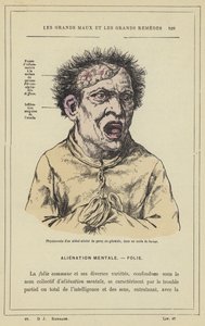 Fisiognomia de um estrangeiro que sofre de paralisia geral, em um ataque de raiva (cor litho) de French School