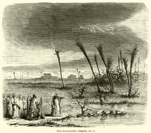 Ferida de gafanhoto (gravura) de French School