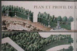 Plano e secção transversal do bosque, de 