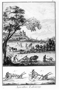 Placa da Enciclopédia de Diderot e Alembert: Agricultura e Lavoura. Século XVIII. de French School