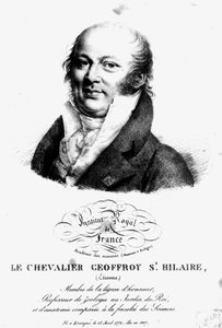 Retrato de Stephen Geoffroy Saint-Hilaire (1722-1844) de French School