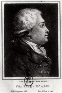 Retrato de Felix Vicq dAzyr (1748-94) de French School