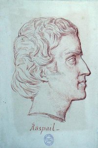 Retrato de François Vincent Raspail (1794-1878) (giz vermelho sobre papel) de French School