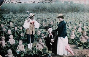 Cartão postal retratando um casal à procura de um bebé de French School