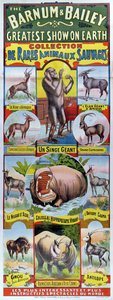 Cartaz publicitário da Coleção de Rares Animaux Sauvages para o Circo Barnum e Bailey
