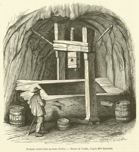 Ocos de prensa num tronco de árvore (gravura) de French School