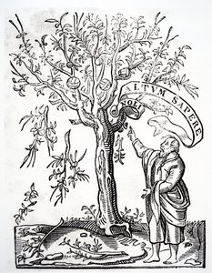 Emblema de impressoras de Robert Estienne, Paris, 1526 de French School