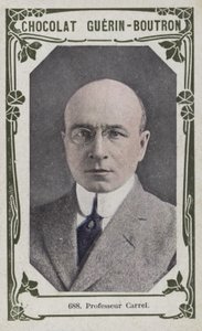 Professor Carrel (foto colorida) de French School
