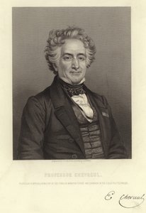 Professor Chevreul de French School