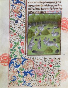 Warren coelho, do livro de caça por Gaston Phebus de Foix (1331-91) de French School