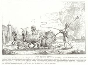 Animais raros de French School