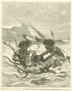 Rencontres Avec Les Poulpes (gravura) de French School