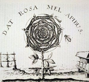 Alegoria Rosacruz, cópia de uma gravura de Johann Theodore de Bry (c.1598), usada em uma História da Magia, publicada no final do século XIX de French School
