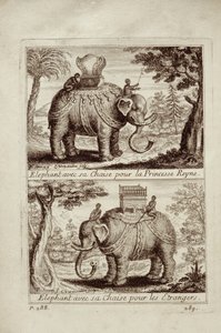 Elefantes reais, de Voyage du Siam des Peres Jesuítas por Guy Tachard, 1688 de French School