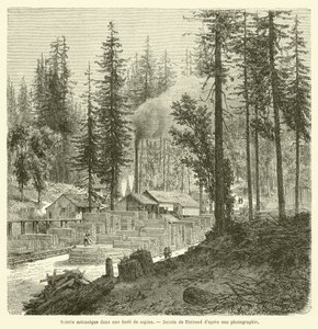 Serraria mecânica em uma floresta de abeto (gravura) de French School