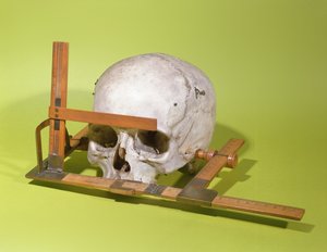 Crânio em um goniômetro facial construído por Paul Broca (1824-88) (madeira e cobre)