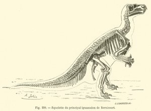 Esqueleto do iguanodonte principal de Bernissart (gravura) de French School
