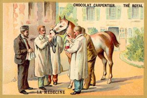 Tirar sangue de um cavalo (chromolitho) de French School