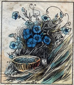 Têxtil, linho. Flor de linho (azul), caule composto de palha e filamentos para fazer fio de linho. Semente usada na medicina e da qual se extrai óleo para a indústria. Gravura. Imagem epinal do final do século XIX. de French School