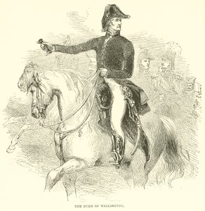 O Duque de Wellington (gravura) de French School