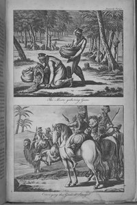 Os Mouros que reúnem as Gengivas e Transportam as Gengivas para o Senegal, ilustração de "Uma Viagem ao Senegal... de French School