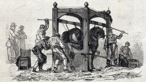 A Escola Nacional de Veterinária de Alfort - Les grandes écoles de france - école veterinaire de maison alfort en 1866 - le ferrage des chevaux retifs - Engraving in "Le monde illustrious" of 1866 de French School