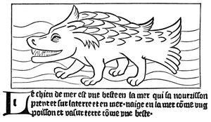 "O cão-mar de French School