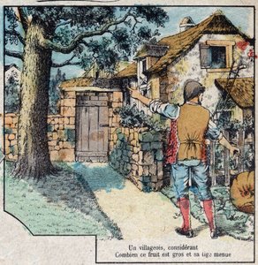 A bolota e a abóbora. Fábulas de Jean de La Fontaine (1621-95), imagens da Epinal do final do século XIX. de French School