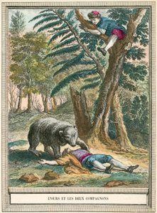 O urso e os dois companheiros