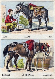 O burro e o cavalo. Gravura em "Buffon Alphabet des Animaux". 3ª Série N 1. Imaging of Epinal, Epinal, final do século XIX. 16 páginas. Dim: 28x21cm de French School