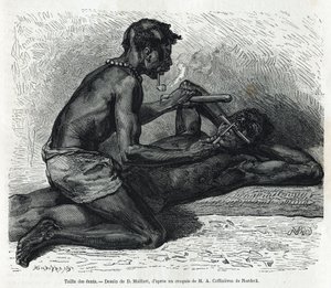 O tamanho dos dentes no Okanda, desenho de D. Maillard, para ilustrar a história de uma viagem ao Gabão e ao rio Ogoue em 1875-1877, de Alfred Marche. Gravura em Le tour du monde de French School