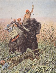 Caça ao tigre, Índia (litografia a cores) de French School