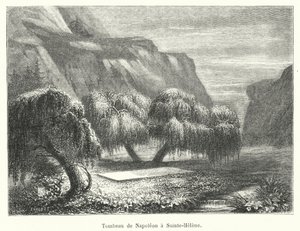 O túmulo de Napoleão em Sainte-Helene (gravura) de French School
