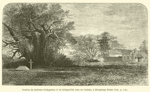Túmulos de Mistress Livingstone e Kirkpatrick debaixo de uma árvore baobá, uma casa de Shoupanga (gravura) de French School
