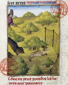 Armadilha para lebre e cães de caça - no "Livro de Caça de Gaston Phoebus, Conde de Foix, Senhor de Bearn". de French School
