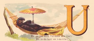 U: Um preguiçoso, o pássaro das ilhas! Indolente e inútil! de French School
