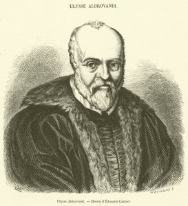 Ulysse Aldrovandi (gravura) de French School