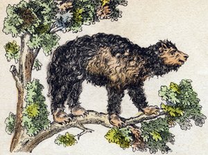 Unau (preguiçoso). Gravura em "Alfabeto dos animaux sauvages". 9ª Série. Imagem de Epinal, Pellerin, impressora-editora, cerca de 1870. Gravura em madeira, stencilada. 16 páginas. Dimensões: 20 x 15 cm. Coleção Particular de French School